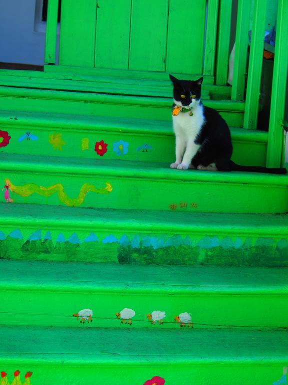Green Stairs Guest House Τυφλίδα Εξωτερικό φωτογραφία