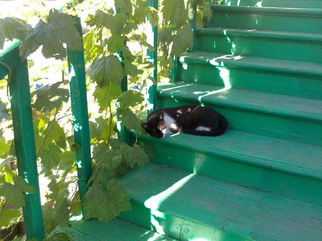 Green Stairs Guest House Τυφλίδα Εξωτερικό φωτογραφία