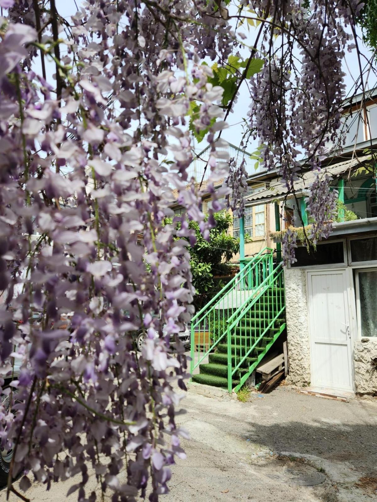 Green Stairs Guest House Τυφλίδα Εξωτερικό φωτογραφία