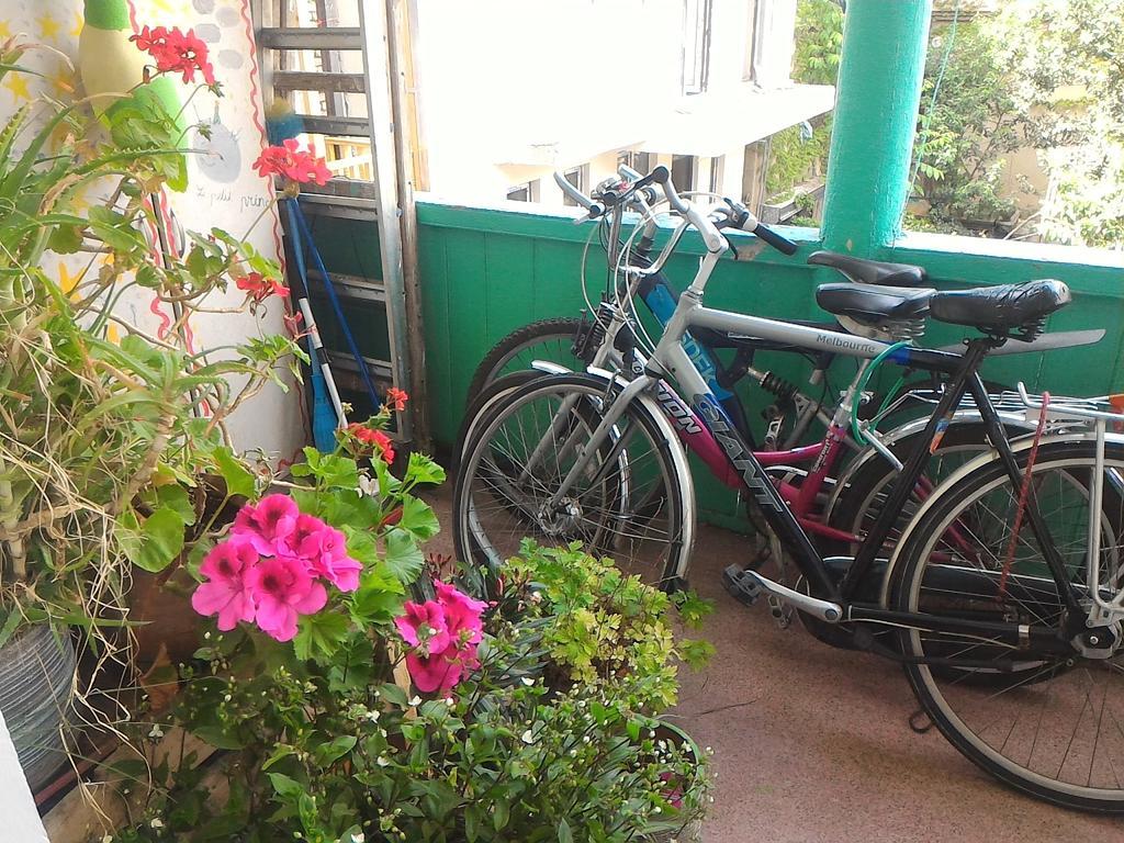 Green Stairs Guest House Τυφλίδα Εξωτερικό φωτογραφία